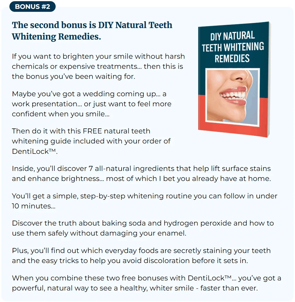 Cover of the bonus guide, 